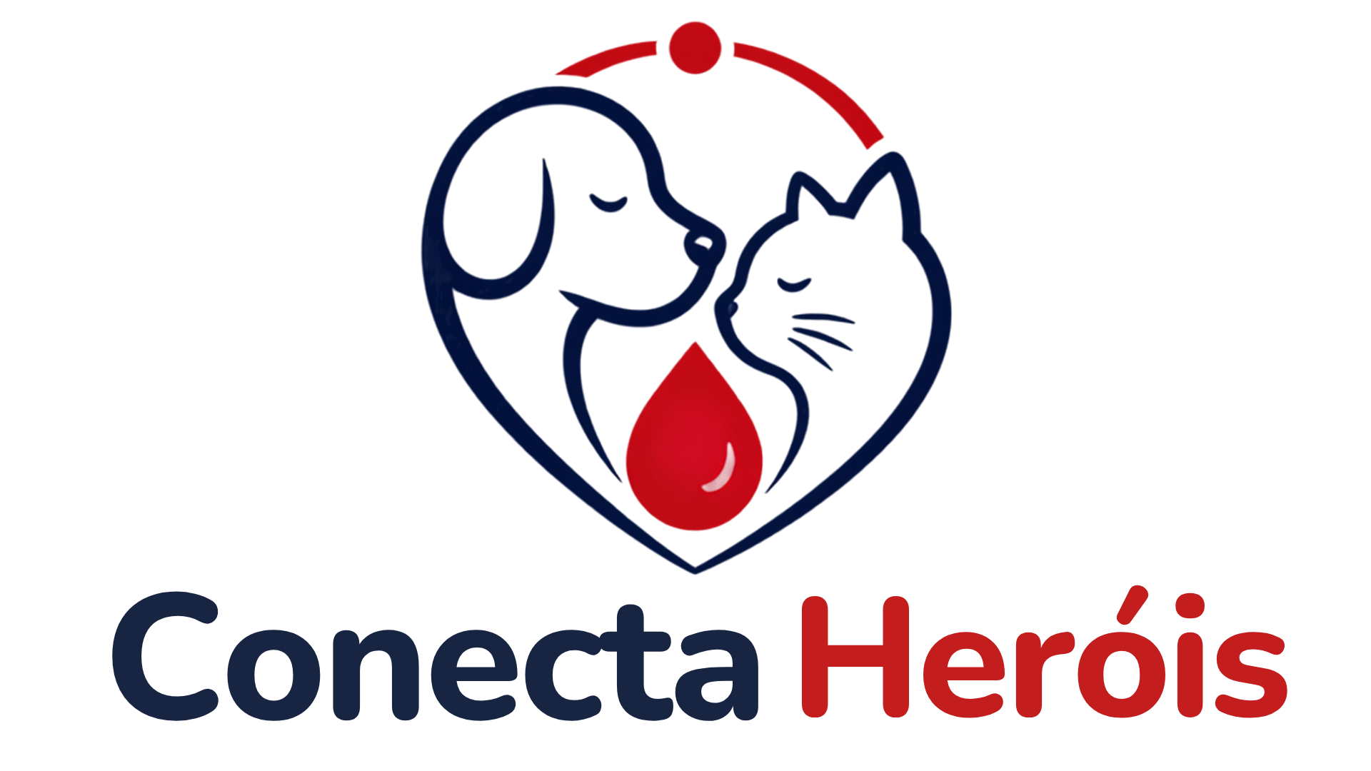 Logo Conecta Heróis